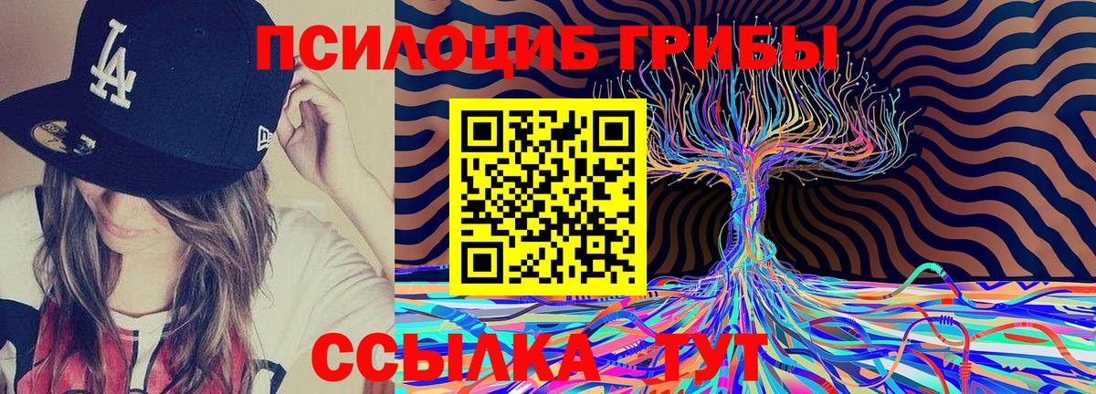 Псилоцибиновые грибы Cubensis Канск