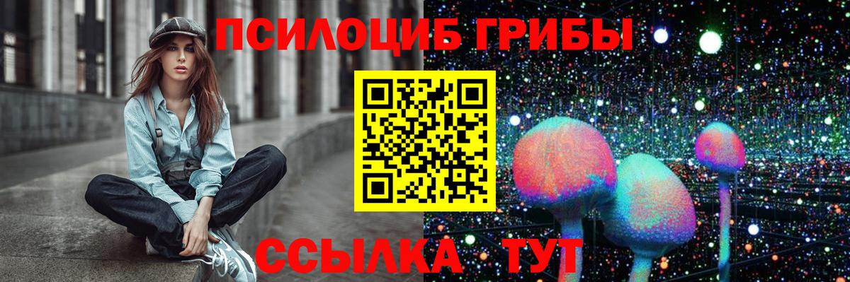 Псилоцибиновые грибы GOLDEN TEACHER  Вход с VPN  где купить   Канск 